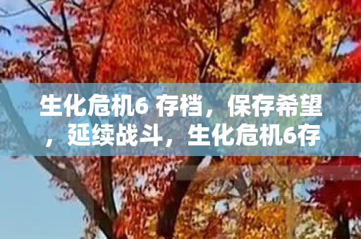 生化危机6 存档图片