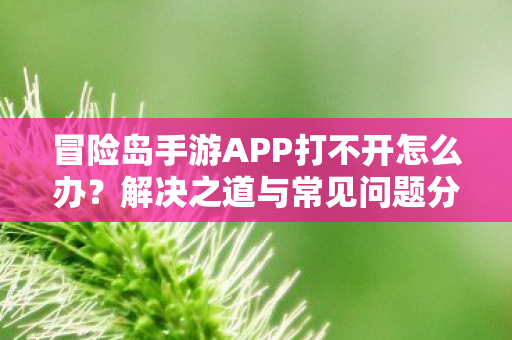 冒险岛手游APP打不开怎么办图片