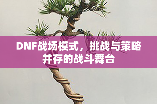 挑战与策略并存的战斗舞台图片