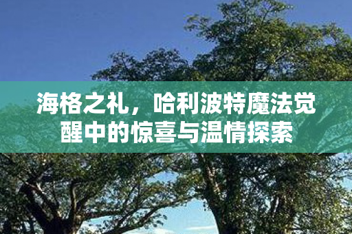 哈利波特魔法觉醒中的惊喜与温情探索图片