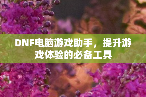 提升游戏体验的必备工具图片