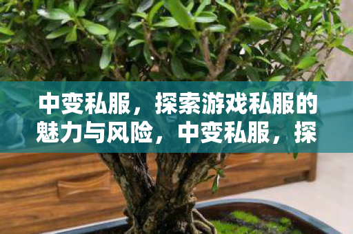 探索游戏私服的魅力与风险并存图片