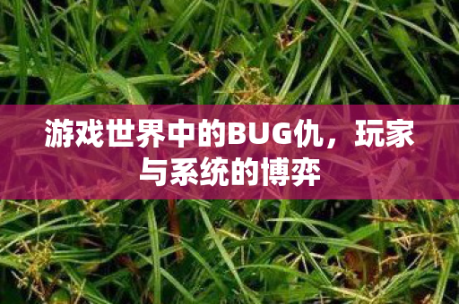 游戏世界中的BUG仇图片