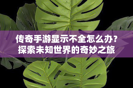 传奇手游显示不全怎么办图片