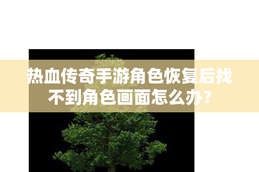 热血传奇手游角色恢复后找不到角色画面怎么办图片