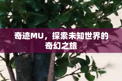 探索未知世界的奇幻之旅图片