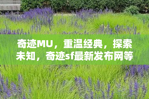 奇迹sf最新发布网等你来挑战图片