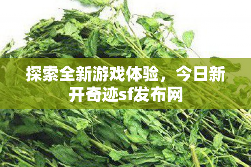 今日新开奇迹sf发布网图片