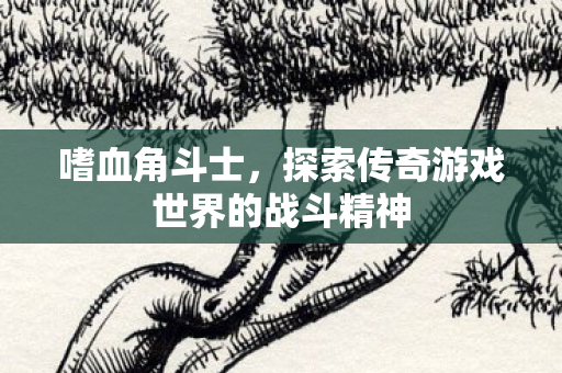 探索传奇游戏世界的战斗精神图片