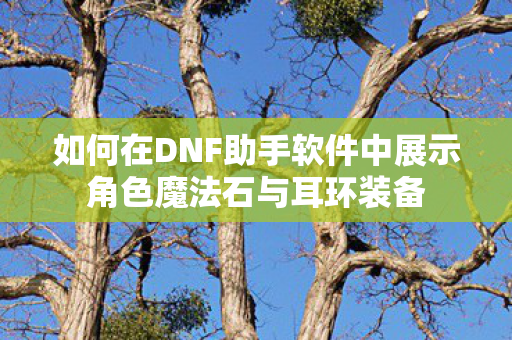 如何在DNF助手软件中展示角色魔法石与耳环装备图片
