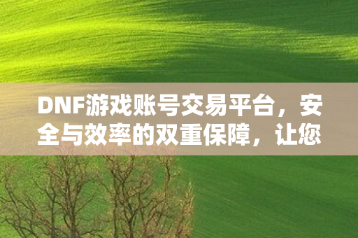 DNF游戏账号交易平台图片