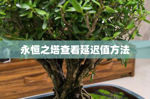 永恒之塔查看延迟值方法图片