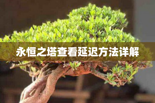永恒之塔查看延迟方法详解图片