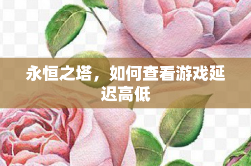如何查看游戏延迟高低图片