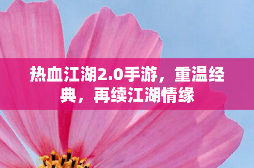 再续江湖情缘图片