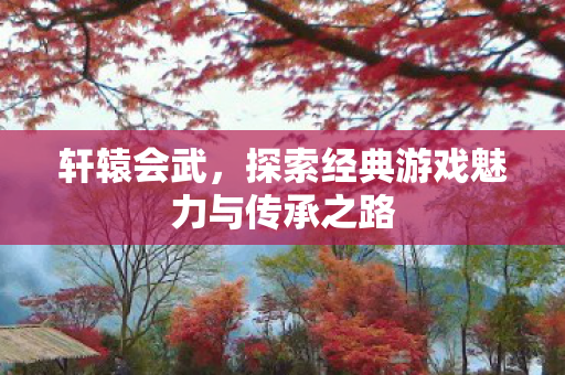 探索经典游戏魅力与传承之路图片