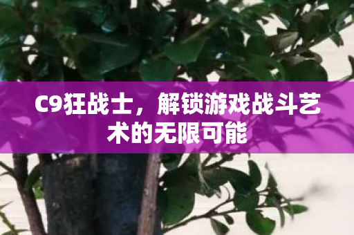 解锁游戏战斗艺术的无限可能图片