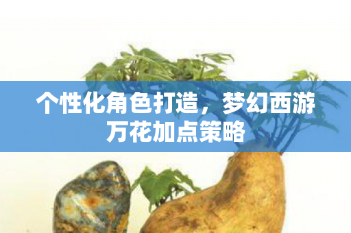 梦幻西游万花加点策略图片