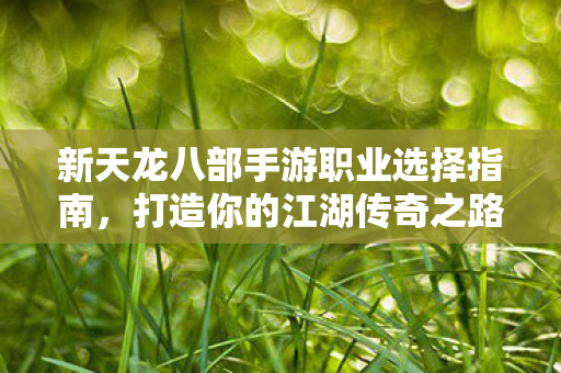 新天龙八部手游职业选择指南图片