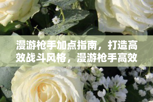 漫游枪手加点指南,打造高效战斗风格,漫游枪手高效战斗风格加点指南 漫游枪手加点指南,打造高效战斗风格,漫游枪手高效战斗风格加点指南