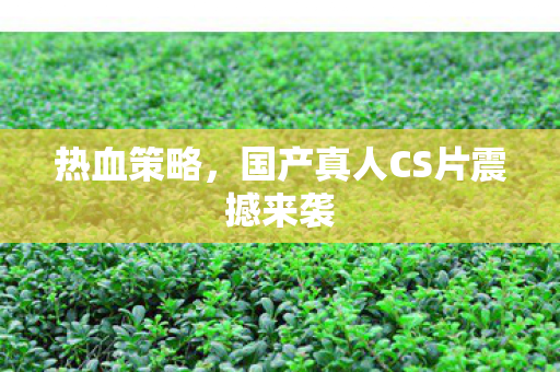 国产真人CS片震撼来袭图片