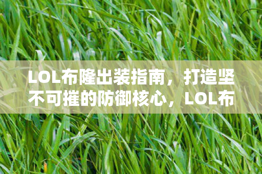 打造坚不可摧的防御核心出装指南图片