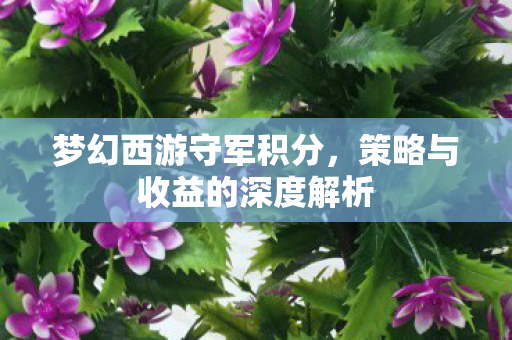 策略与收益的深度解析图片