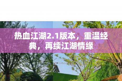 再续江湖情缘图片