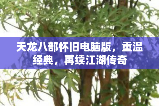 天龙八部怀旧电脑版图片