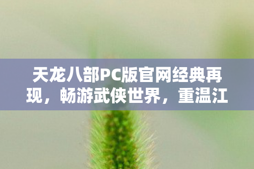天龙八部PC版官网经典再现图片