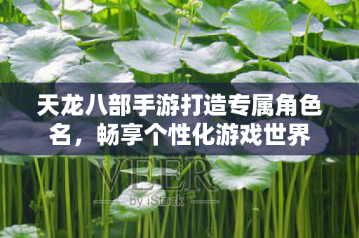 天龙八部手游打造专属角色名图片