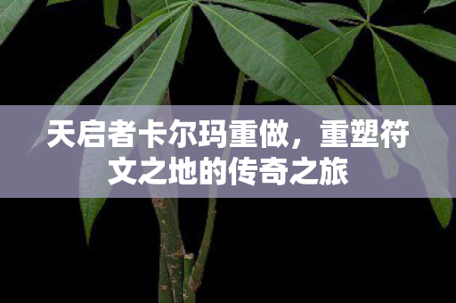 重塑符文之地的传奇之旅图片