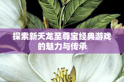 探索新天龙至尊宝经典游戏的魅力与传承图片