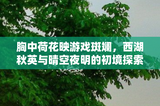 西湖秋英与晴空夜明的初境探索图片
