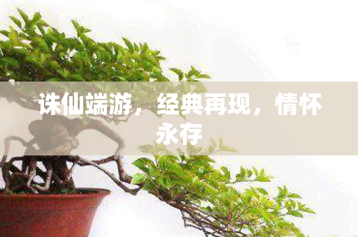 诛仙端游图片