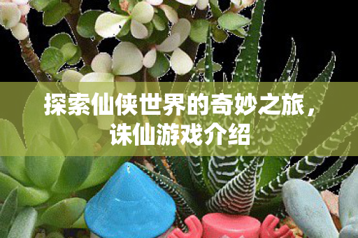 探索仙侠世界的奇妙之旅图片