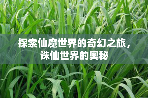 探索仙魔世界的奇幻之旅图片