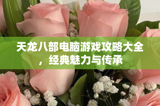 天龙八部电脑游戏攻略大全图片