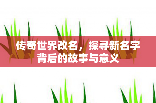 探寻新名字背后的故事与意义图片