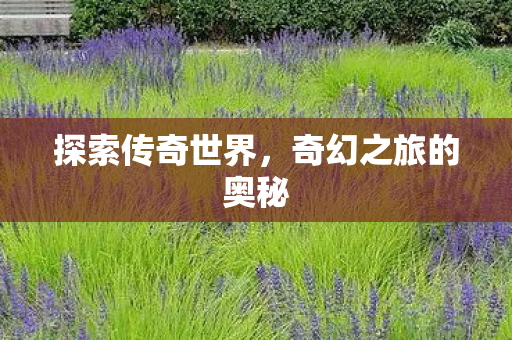 奇幻之旅的奥秘图片