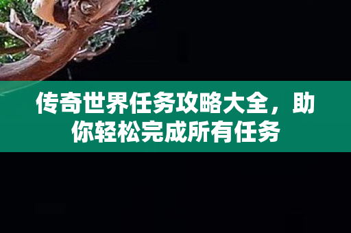 传奇世界任务攻略大全图片
