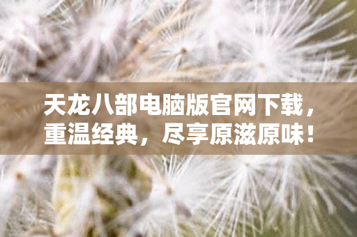 天龙八部电脑版官网下载图片