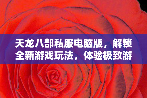 天龙八部私服电脑版图片
