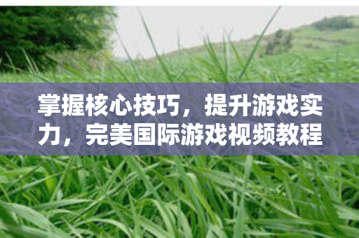 完美国际游戏视频教程图片