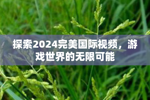 探索2024完美国际视频图片