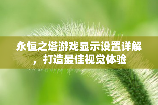 永恒之塔游戏显示设置详解图片