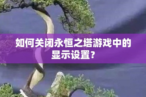 如何关闭永恒之塔游戏中的显示设置图片