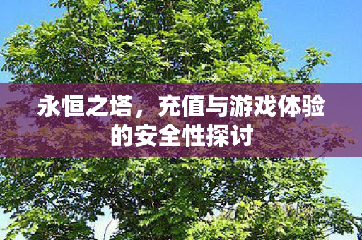 充值与游戏体验的安全性探讨图片