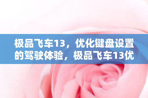 极品飞车13优化键盘设置图片