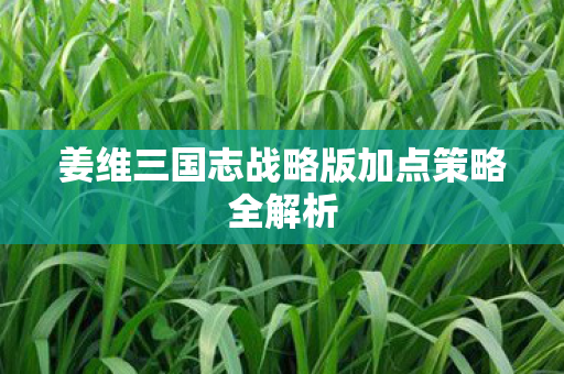 姜维三国志战略版加点策略全解析图片